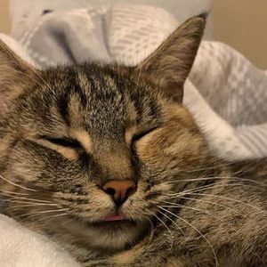 Meet your Posher, Jayla